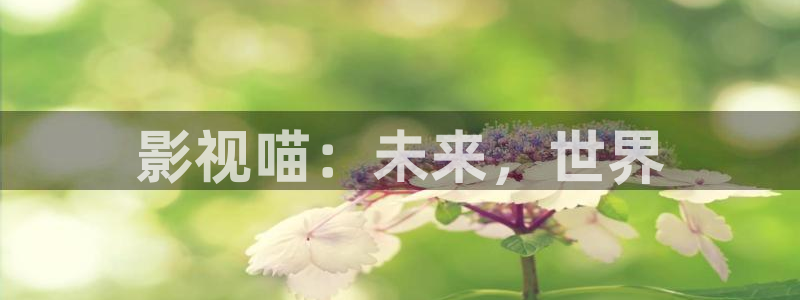 麻豆mv高清在线观看：影视喵：未来，世界