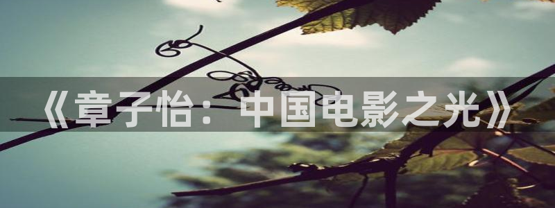 麻豆影视免费：《章子怡：中国电影之光》